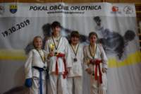 oplotnica11_small.jpg