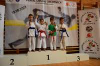 oplotnica14_small.jpg