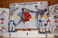 oplotnica1_small.jpg