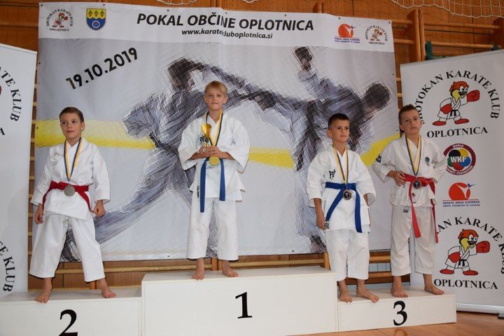 oplotnica3.jpg