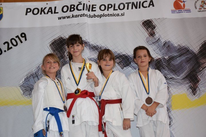 oplotnica6.jpg