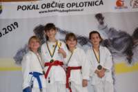 oplotnica6_small.jpg
